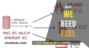 Energizing Our World: The Indispensable Role of Fuel