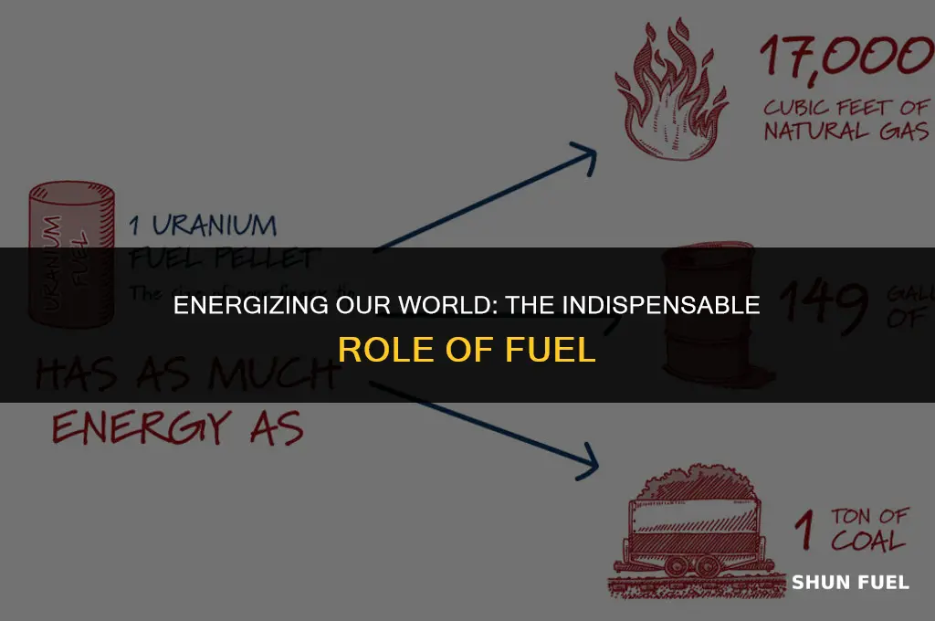 why do we need fuel