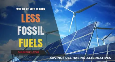 Reducing Fossil Fuel Dependence: A Critical Step for a Sustainable Future