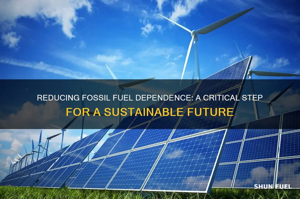 why do we need to burn less fossil fuels