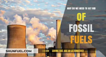 Ending Fossil Fuel Dependence: Urgent Reasons for a Sustainable Future