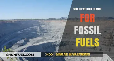The Necessity of Fossil Fuel Mining: Energy, Economy, and Environmental Impact