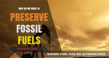 Preserving Fossil Fuels: Why Conservation is Key for Our Future