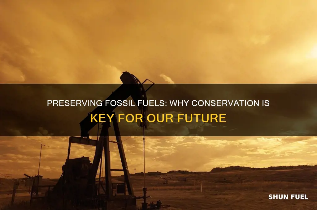 why do we need to preserve fossil fuels