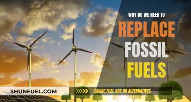 The End of Fossil Fuels: A Necessary Transition