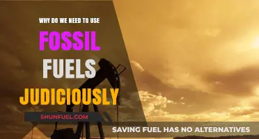 Sustainable Energy: The Urgent Need for Judicious Fossil Fuel Use