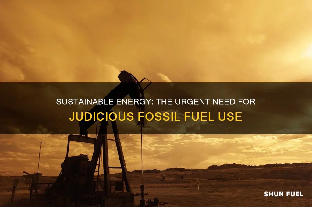 why do we need to use fossil fuels judiciously