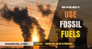 The Essential Role of Fossil Fuels in Modern Energy Needs