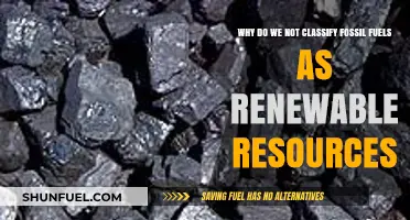 Fossil Fuels: Why They're Non-Renewable and Unsustainable Energy Sources