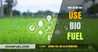Biofuel's Untapped Potential: Barriers to a Sustainable Energy Shift