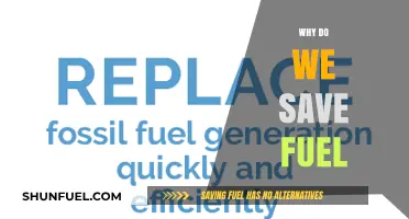 Conserving Energy: The Economic and Environmental Benefits of Fuel Efficiency