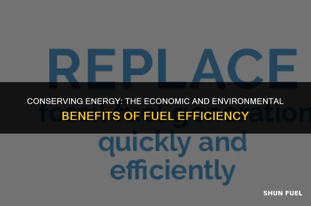 why do we save fuel