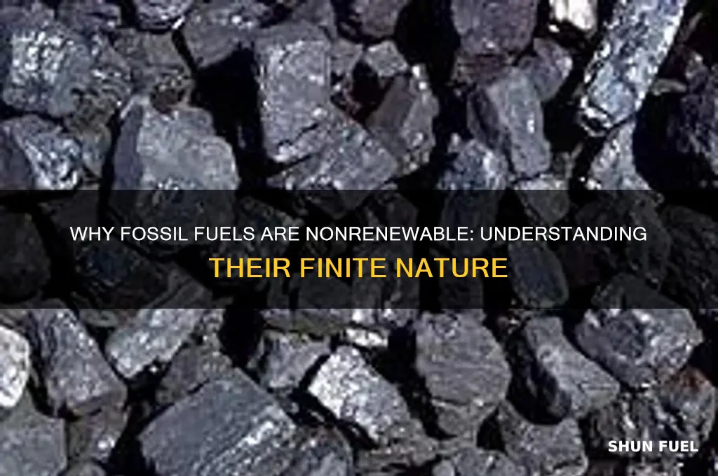why do we say fossil fuels are nonrenewable