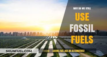 The Reluctance to Abandon Fossil Fuels