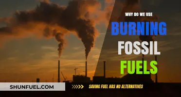 Why We Still Rely on Burning Fossil Fuels: A Deep Dive