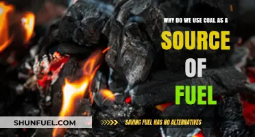 Coal's Enduring Role: Why It Remains a Dominant Fuel Source