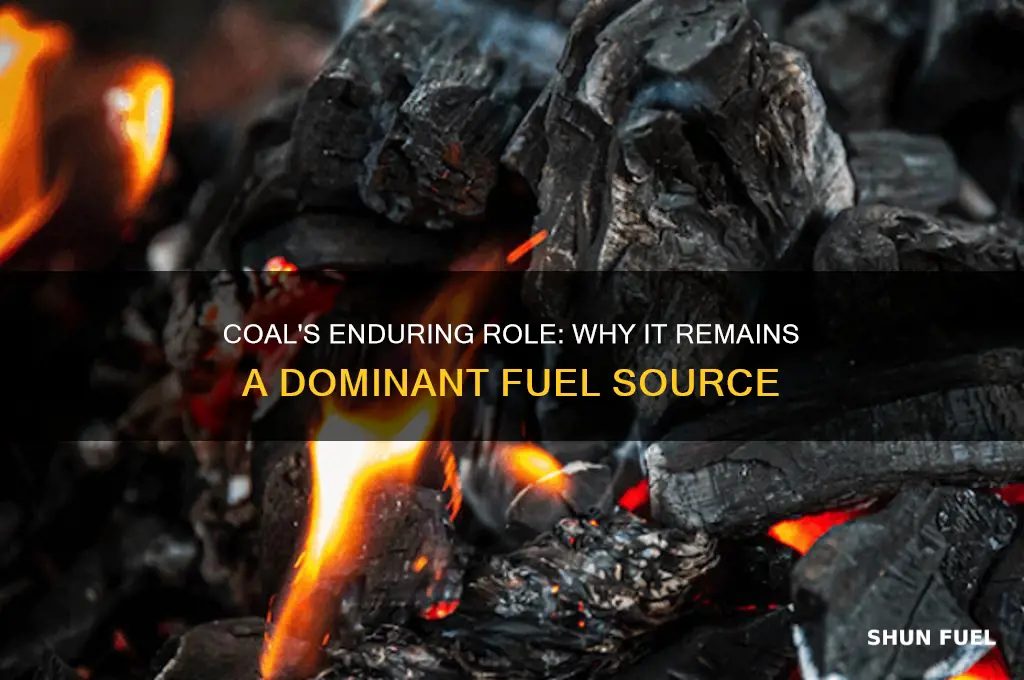 why do we use coal as a source of fuel