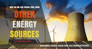 Why Fossil Fuels Dominate: Exploring Their Persistent Energy Source Advantage