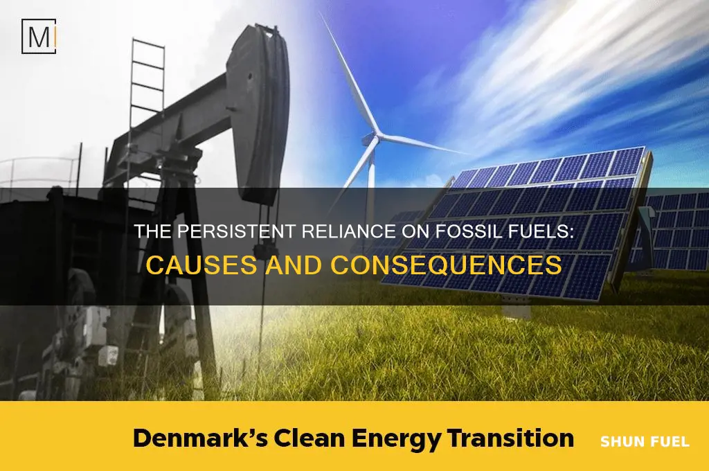 why do we use so much fossil fuel