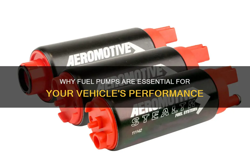 why do you need fuel pump