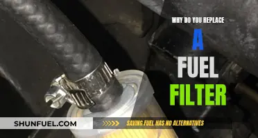 Fuel Filter Replacement: Enhancing Engine Performance and Longevity