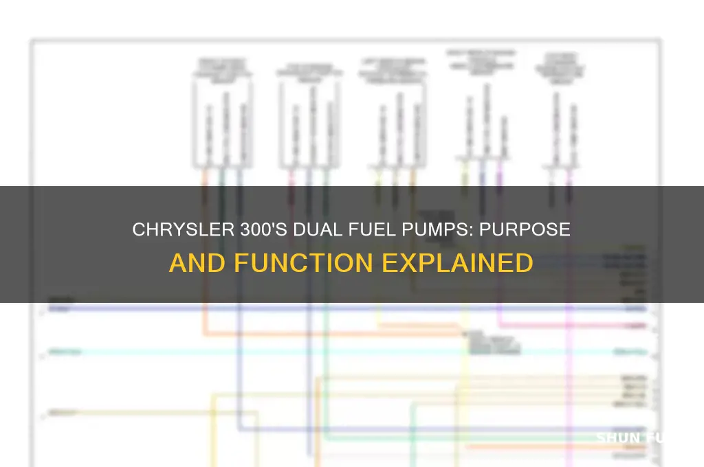 why does 06 chrysler 300 have two fuel pumps