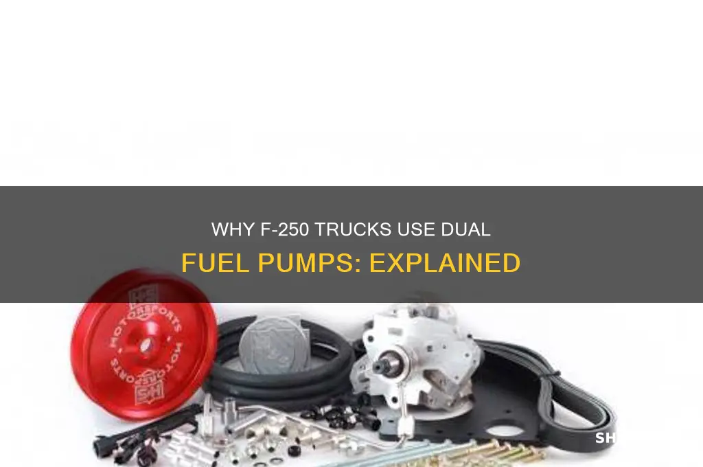 why does a f-250 have 2 fuel pumps