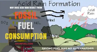 Fossil Fuel Consumption and the Acid Rain Connection Explained