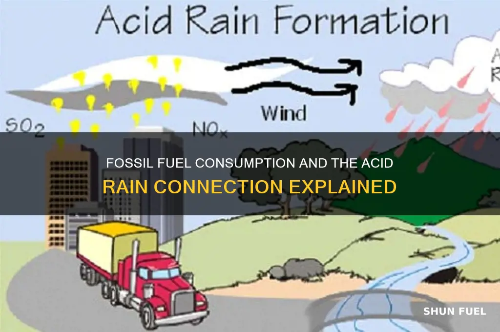 why does acid rain result from fossil fuel consumption