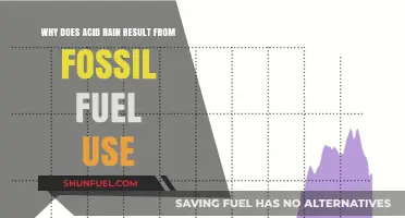 Fossil Fuels, Emissions, and Acid Rain: Understanding the Environmental Impact