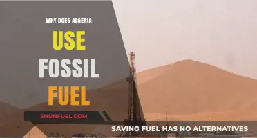 Algeria's Fossil Fuel Reliance: Economic Drivers and Energy Challenges