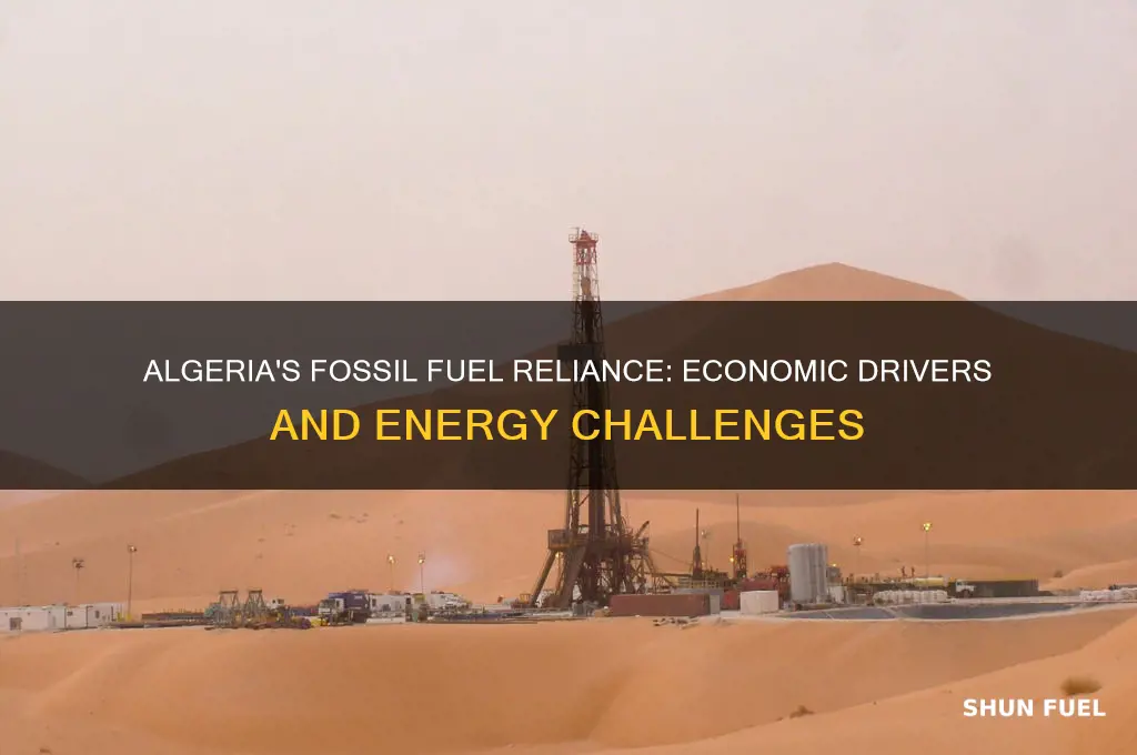 why does algeria use fossil fuel