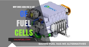 Asia's Fuel Cell Boom: Unlocking Clean Energy Potential and Economic Growth