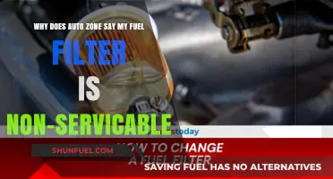 Fuel Filter Woes: AutoZone's Non-Serviceable Parts Explained