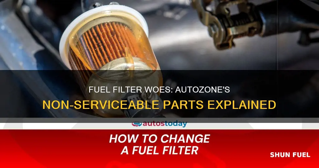 why does auto zone say my fuel filter is non-servicable