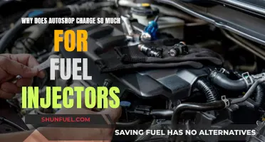 Fuel Injectors: Auto Shop's Pricing Strategies Explained