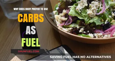 Why Your Body Chooses Carbs as Its Primary Fuel Source