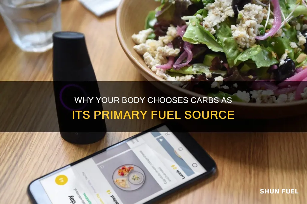 why does body prefer to use carbs as fuel