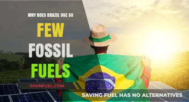 Brazil's Energy Revolution: How Renewable Sources Replaced Fossil Fuels
