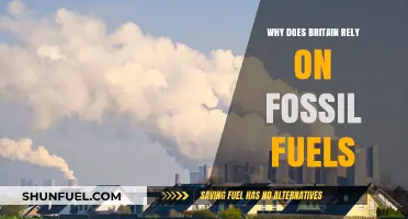 Britain's Fossil Fuel Dependence: Causes, Impacts, and Alternatives Explored