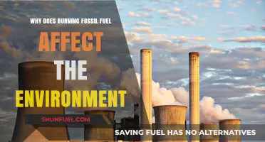 Burning Fossil Fuels: Environmental Impacts and Urgent Need for Change