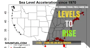 Fossil Fuels, Climate Change, and Rising Sea Levels: The Connection