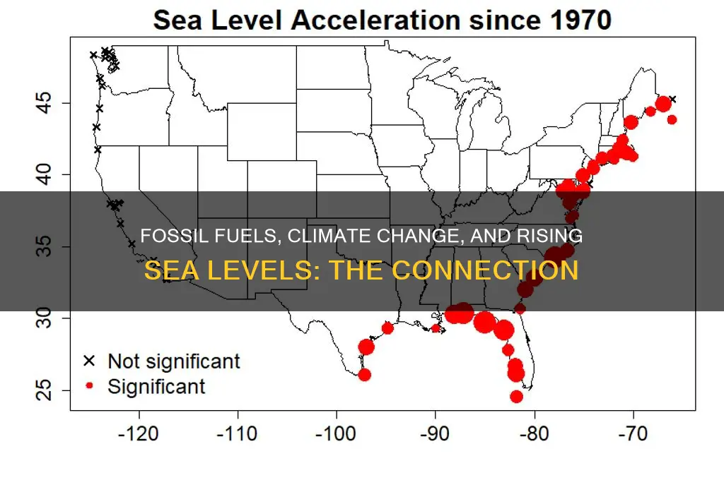 why does burning fossil fuels cause sea levels to rise