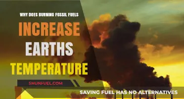 How Burning Fossil Fuels Accelerates Global Warming and Earth's Temperature Rise