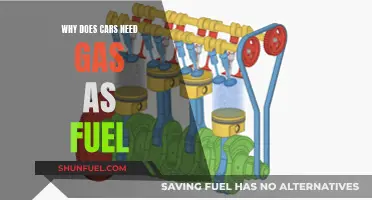The Evolution of Gas-Powered Cars: Why Gas?