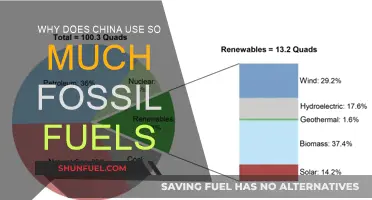 China's Fossil Fuel Addiction: Why So Much?