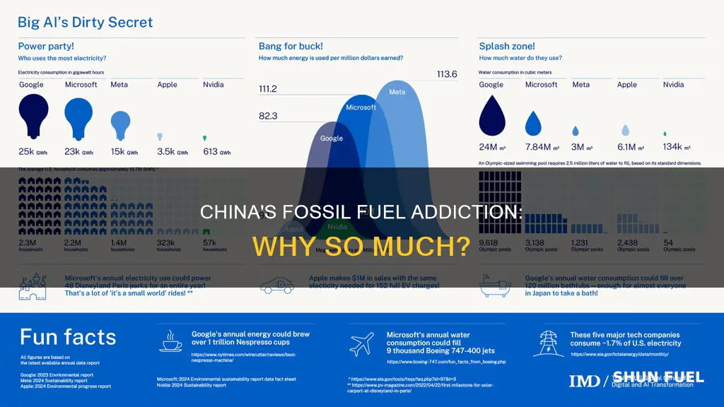 why does china use so much fossil fuels