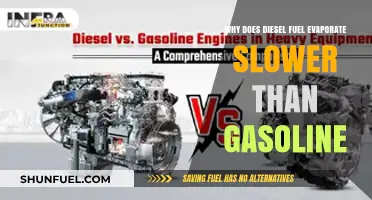 Diesel Evaporation: Why Does It Take Longer?