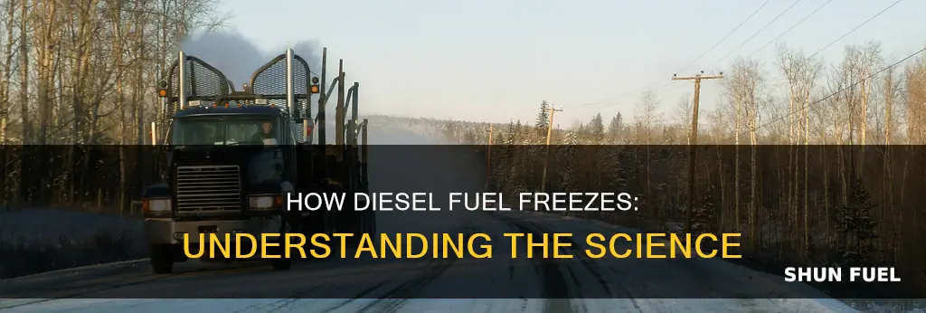 why does diesel fuel freeze