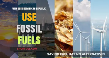Dominican Republic's Fossil Fuel Dependence: Why and What's Next?